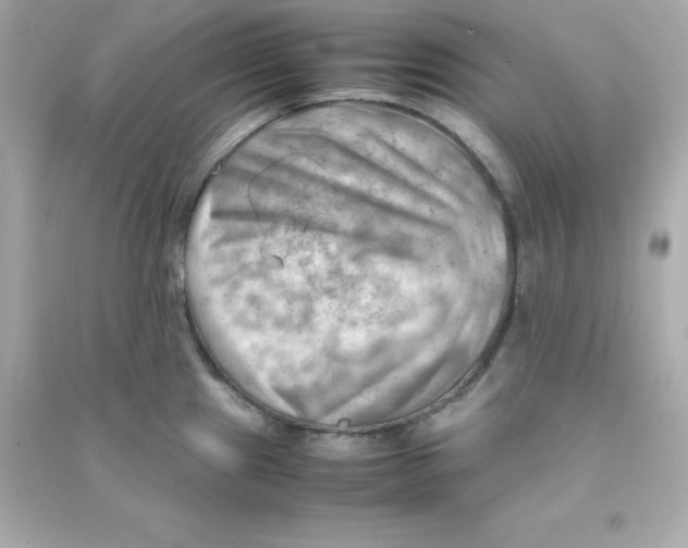 X0000090431241200708101958
