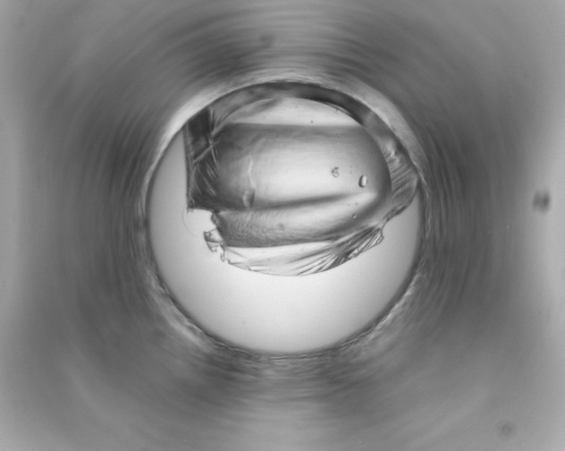 X0000090431242200708101958