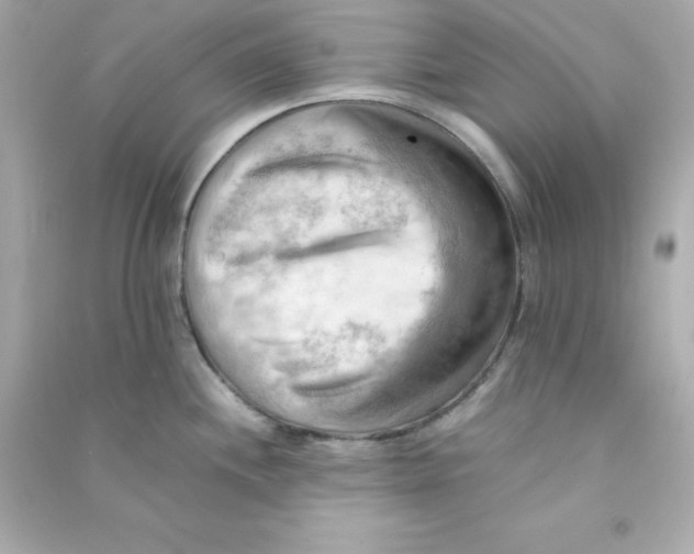 X0000090431244200708101958