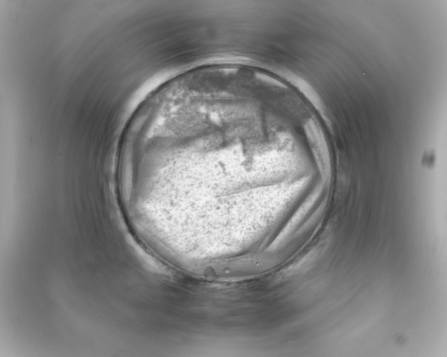 X0000090431245200708101958