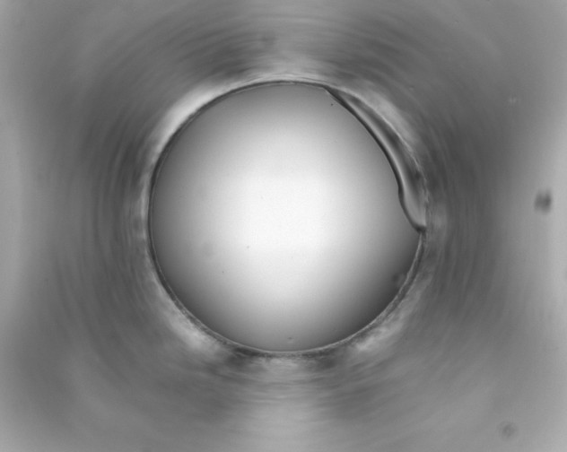 X0000090431246200708101958