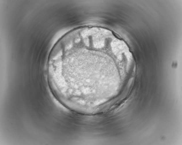 X0000090431247200708101958