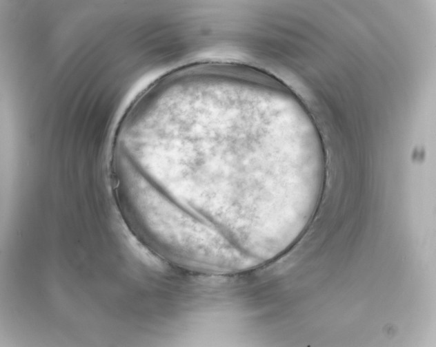 X0000090431248200708101958
