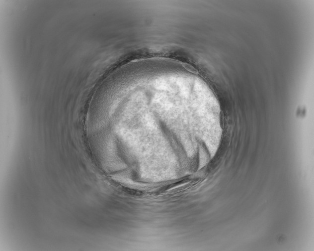 X0000090431249200708101957