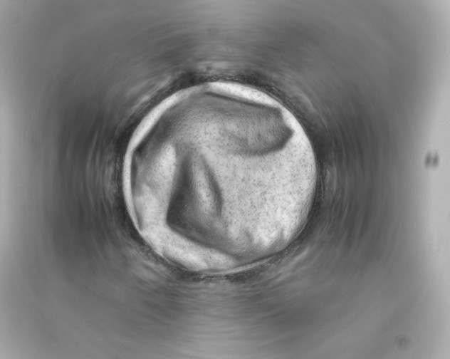 X0000090431250200708101957
