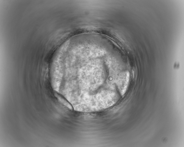 X0000090431251200708101957