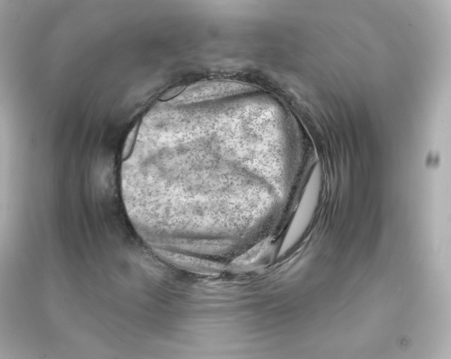 X0000090431252200708101957