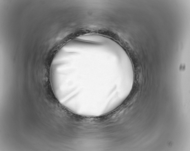 X0000090431253200708101957