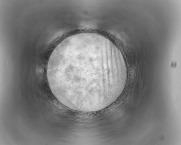X0000090431254200708101957