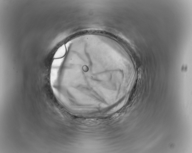 X0000090431255200708101957