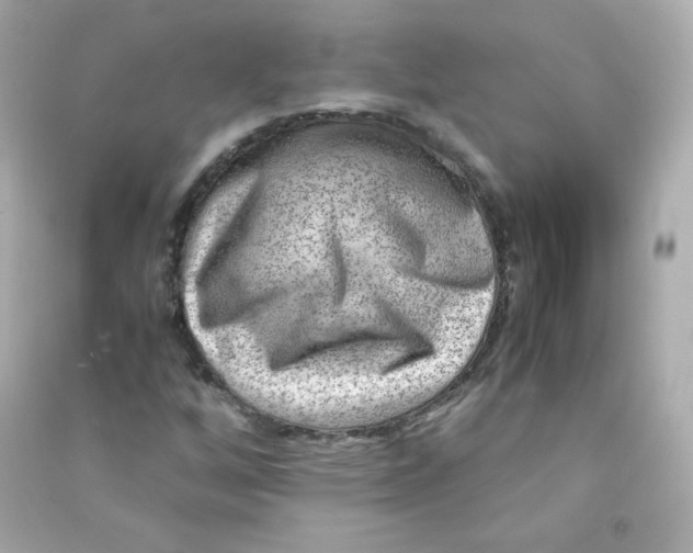 X0000090431256200708101957
