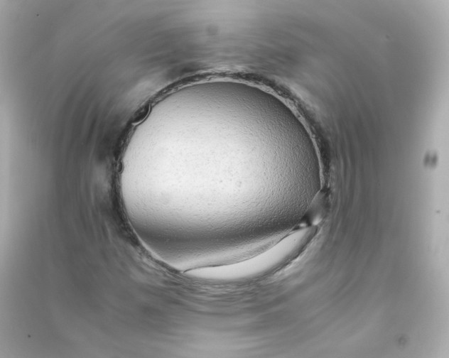 X0000090431257200708101957