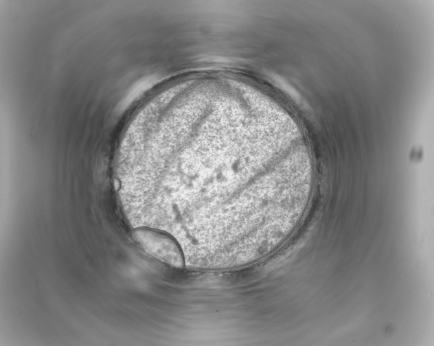 X0000090431259200708101957