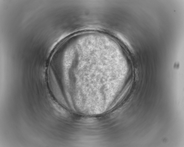 X0000090431260200708101957