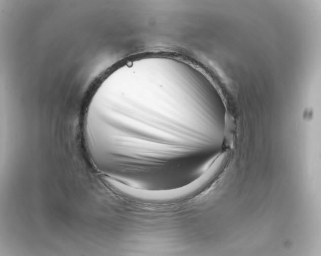 X0000090431261200708101957