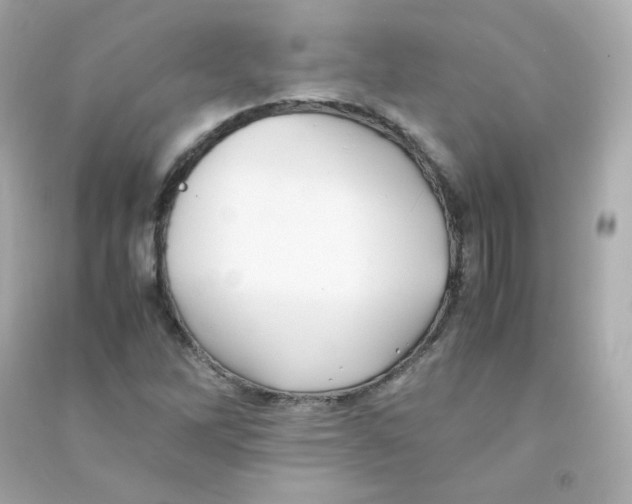 X0000090431262200708101957