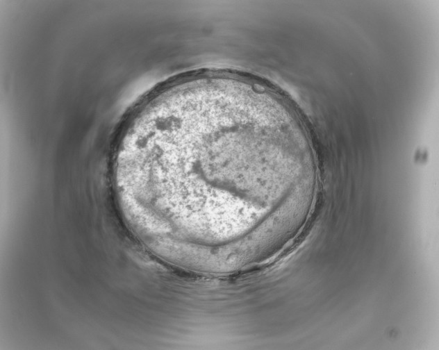 X0000090431263200708101957