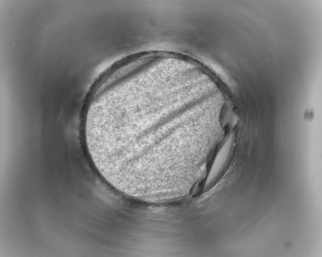X0000090431264200708101957