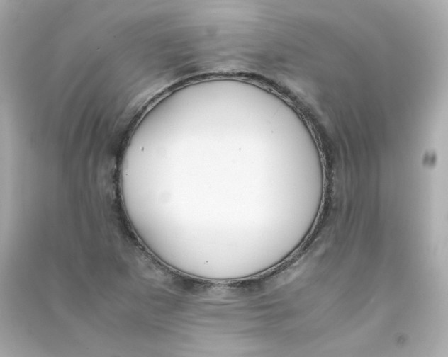 X0000090431265200708101957