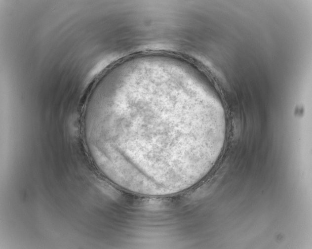 X0000090431266200708101957
