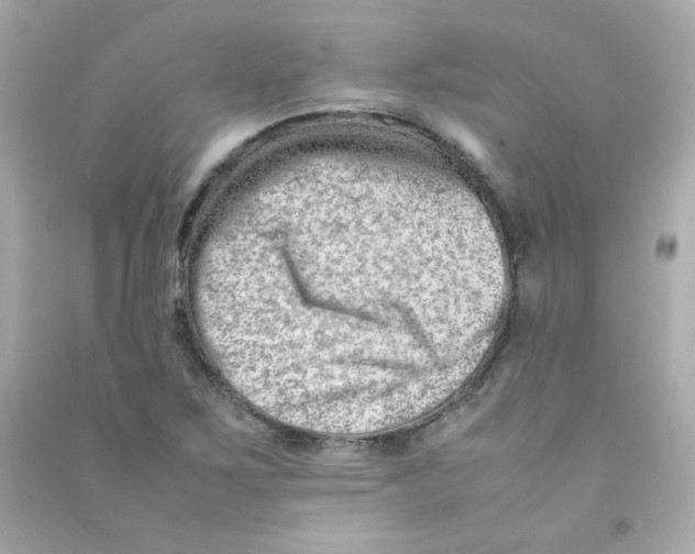 X0000090431267200708101957