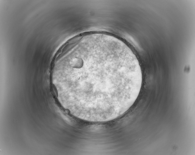 X0000090431268200708101957
