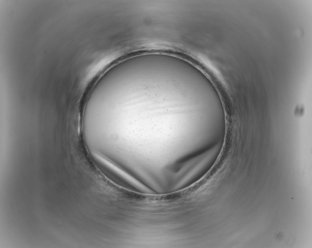 X0000090431269200708101957