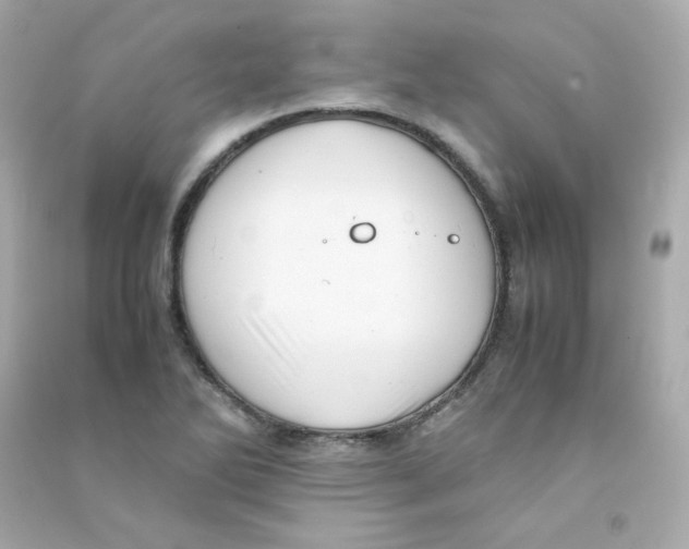 X0000090431270200708101957