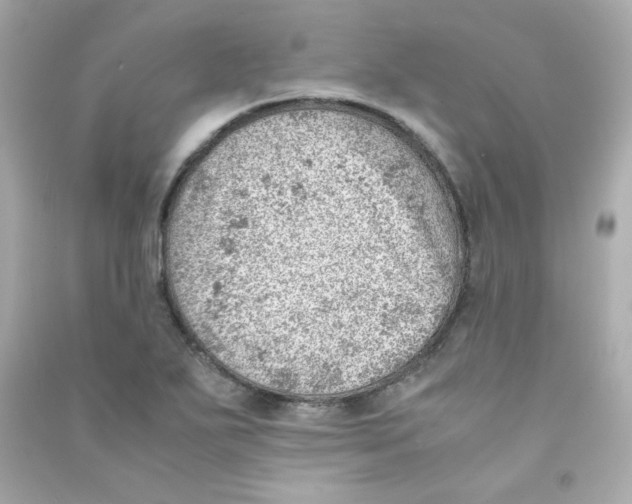 X0000090431271200708101957
