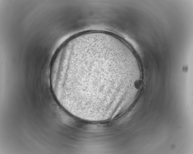 X0000090431272200708101957