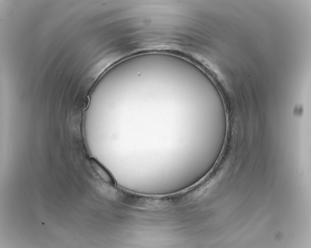 X0000090431273200708101957