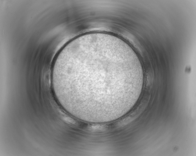 X0000090431274200708101957