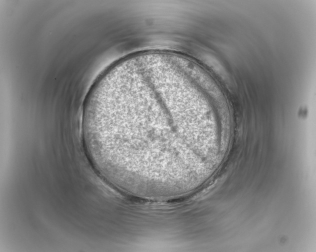 X0000090431275200708101957