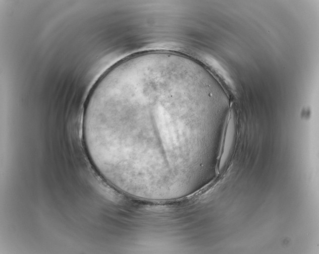 X0000090431276200708101957