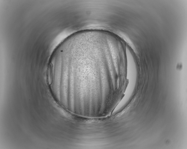 X0000090431277200708101957