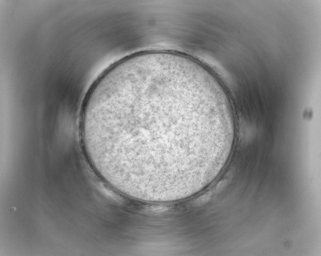 X0000090431278200708101957