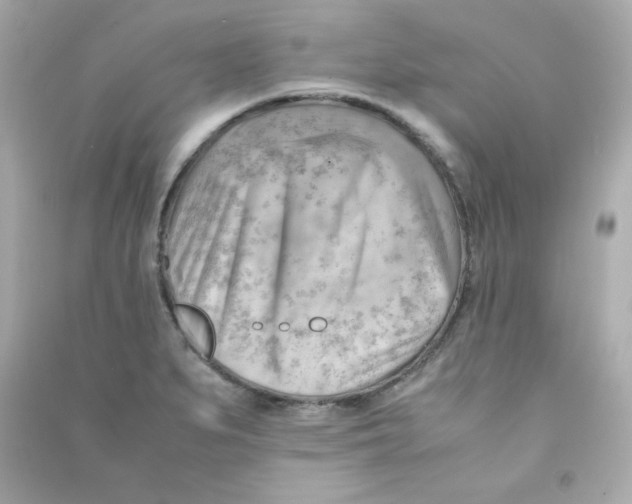 X0000090431279200708101957