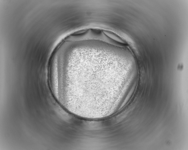 X0000090431280200708101957