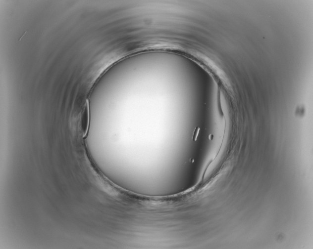 X0000090431281200708101957