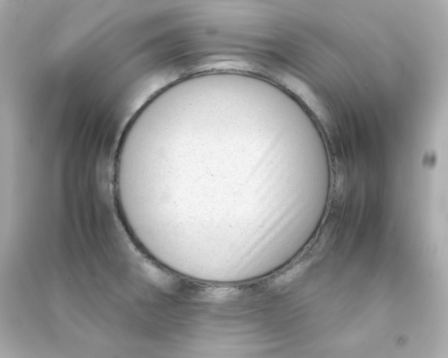 X0000090431282200708101957