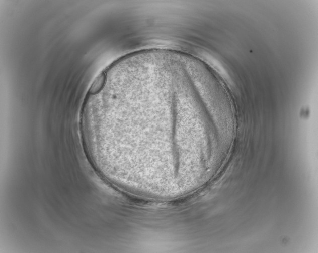 X0000090431283200708101957