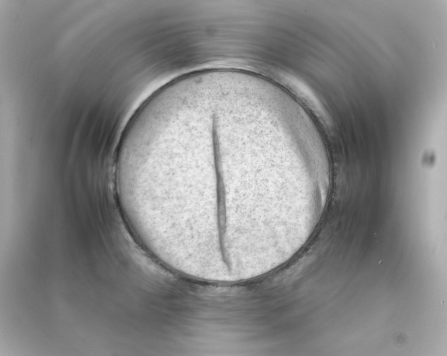 X0000090431284200708101957