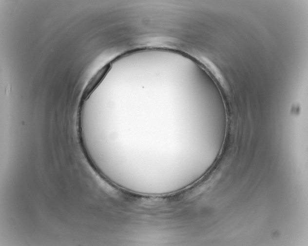 X0000090431285200708101957