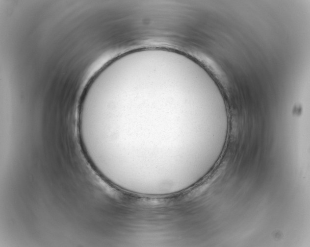 X0000090431286200708101957