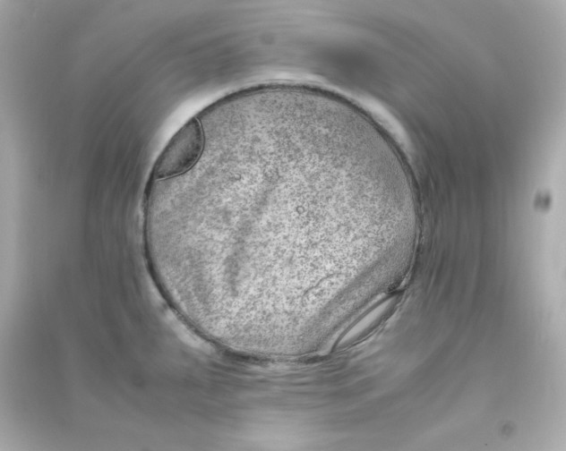 X0000090431287200708101957