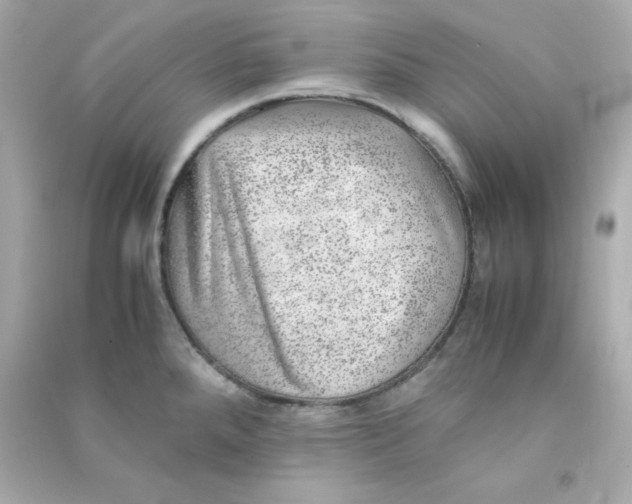 X0000090431288200708101957