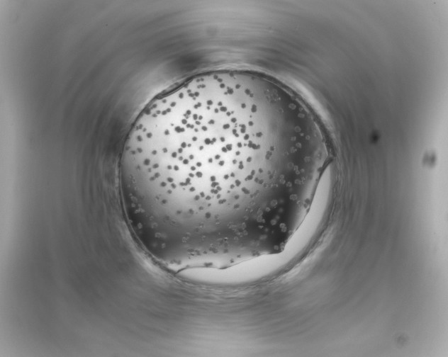 X0000090431289200708101957