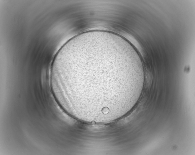 X0000090431290200708101957