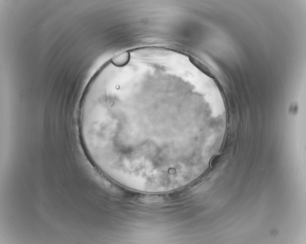 X0000090431291200708101957
