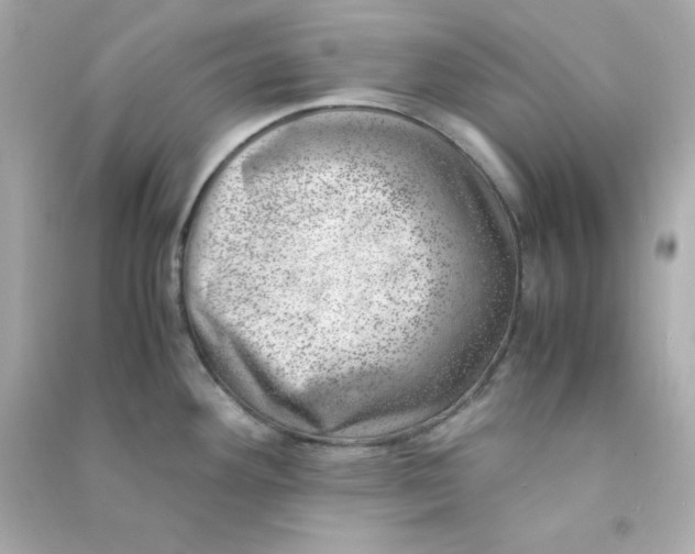 X0000090431292200708101957